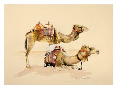 Cammelli da Petra, 2007 da Alison Cooper